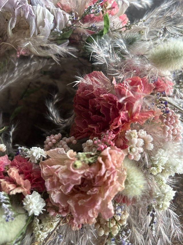 スモークツリールビーファーのボルドードライリース　 Smoke bush ruby fur  Bordeaux color dry wreath