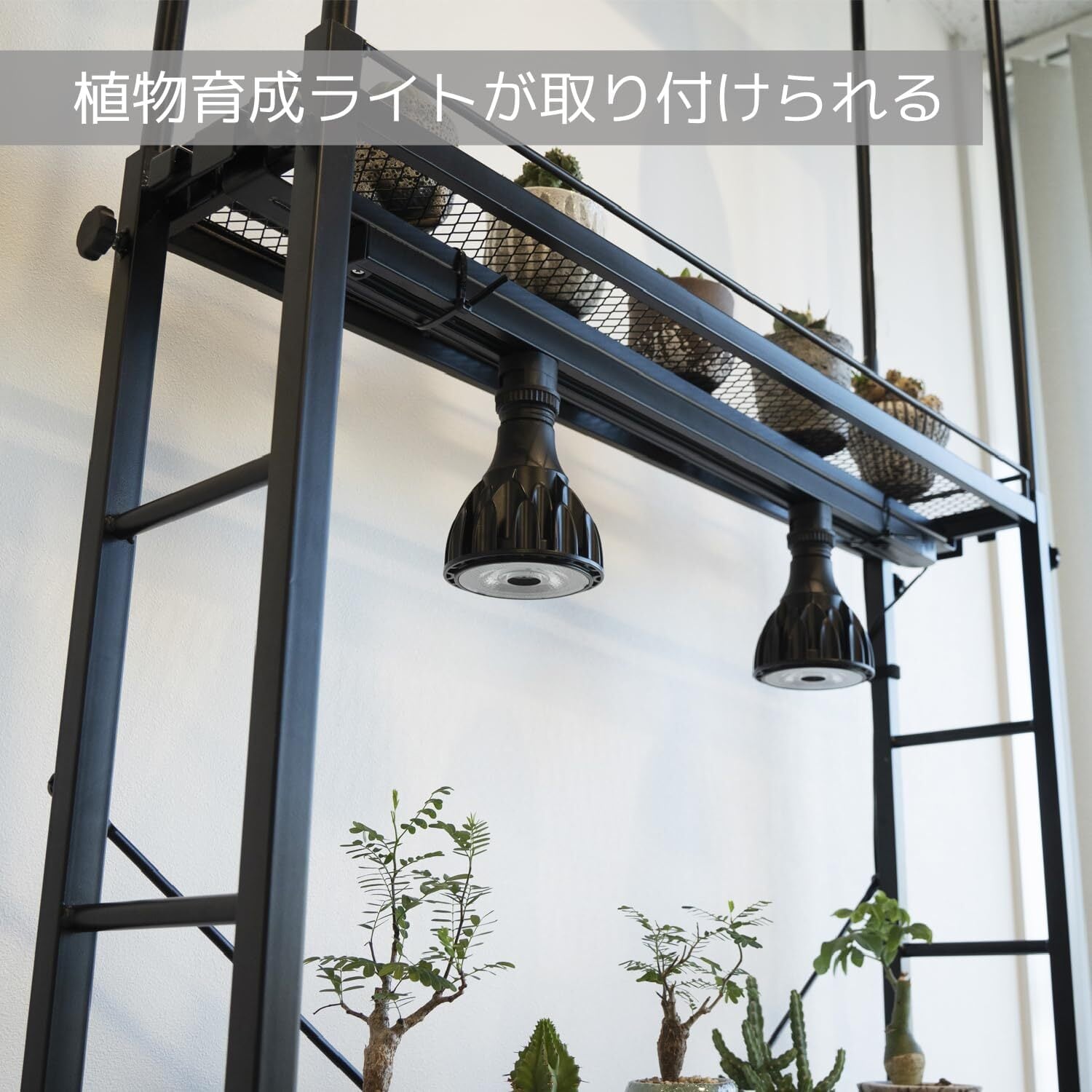 BIBILAB(ビビラボ) ビザールプランツラックスリム LPR-180-BK