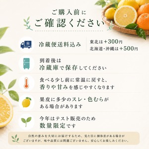 【クール便・送料込み】しまなみ冷蔵柑橘セット｜瑞季・紅八朔・レモン