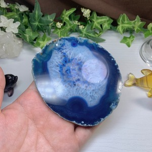 海のアニマル♪♪フローライトイルカのお家セット