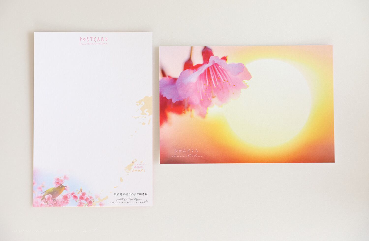 奄美ポストカード 緋寒桜と朝日 奄美カレンダー ポストカードshop
