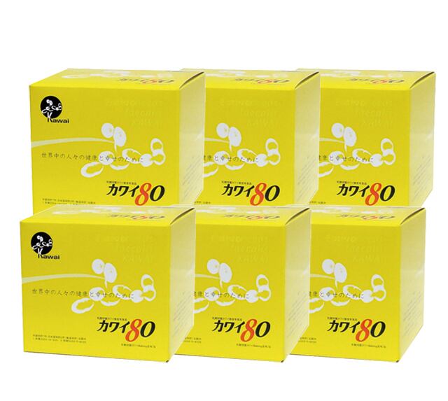 カワイ80(1箱・100包)乳酸球菌カワイ株 | ヘルスワン カワイ80(1箱・100包)乳酸球菌カワイ株 | ヘルスワン