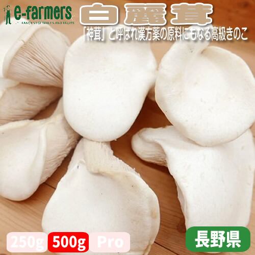 67691ee70f27c2912207012274acd9