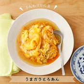 ユウキ食品 やさしい味わいのガラスープ(袋) 70g