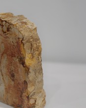 OAK Petrified Wood - Book End #008 ：Natural｜珪化木／Barkエッジ／一点もの