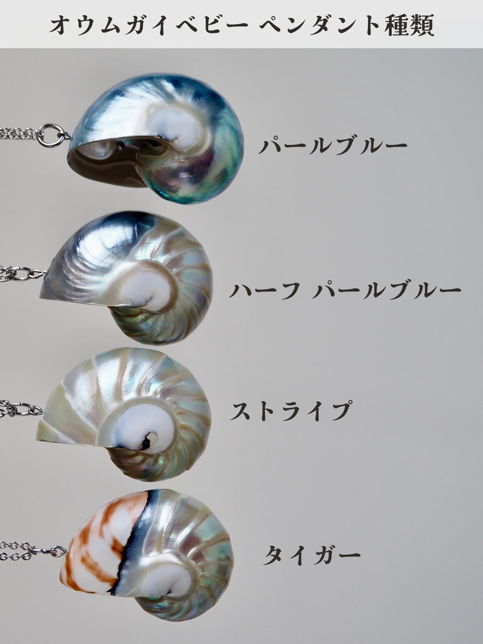青い真珠 オウムガイベビー ペンダント（パールブルー） | 貝殻と人魚
