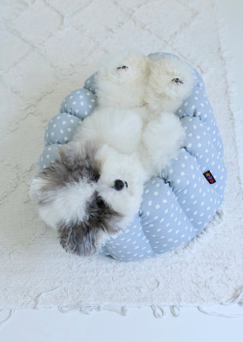 予約【azalea】Blue Flower Canelé Cushion