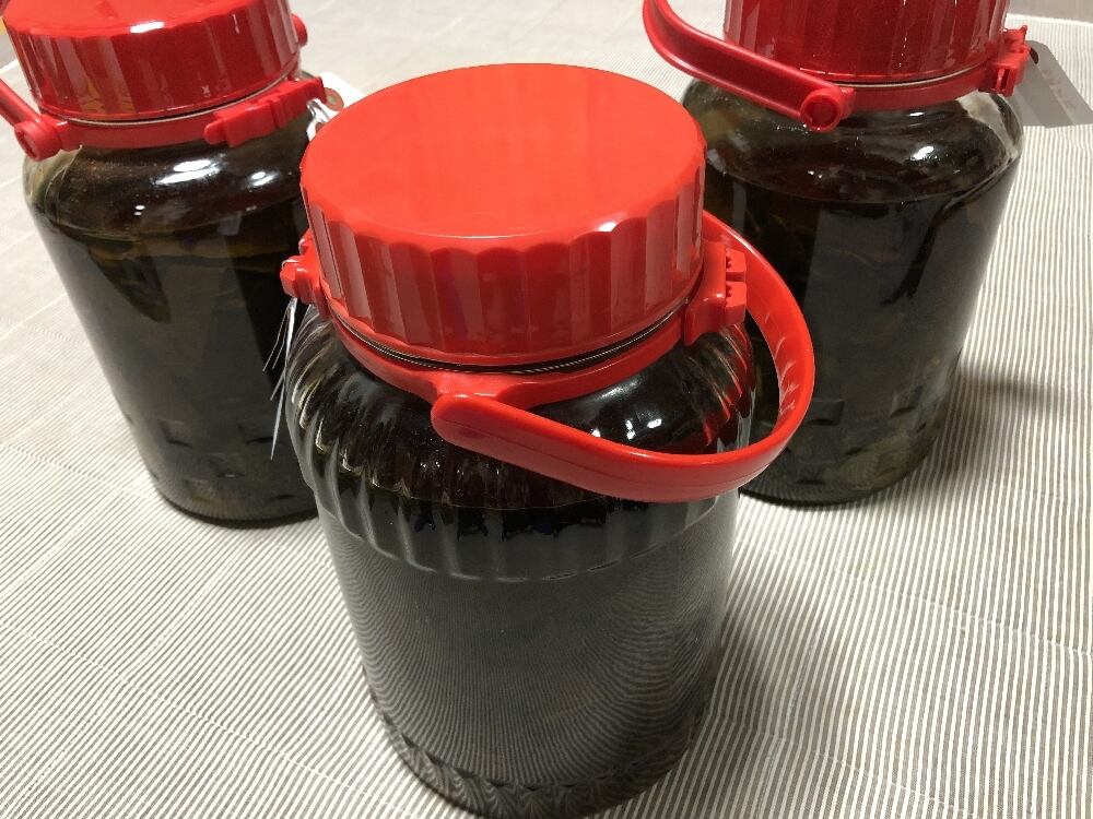 紀州産柿の葉エキス100mL×5本セット:305】無農薬有機栽培柿の葉