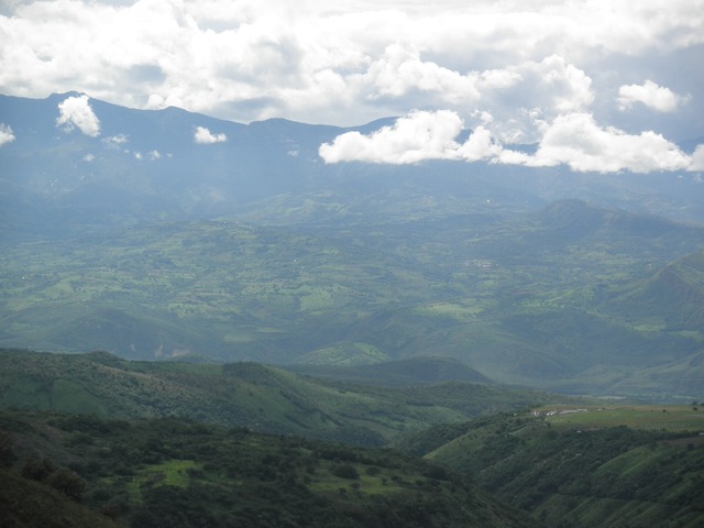 緑水の土 珈琲豆 100g