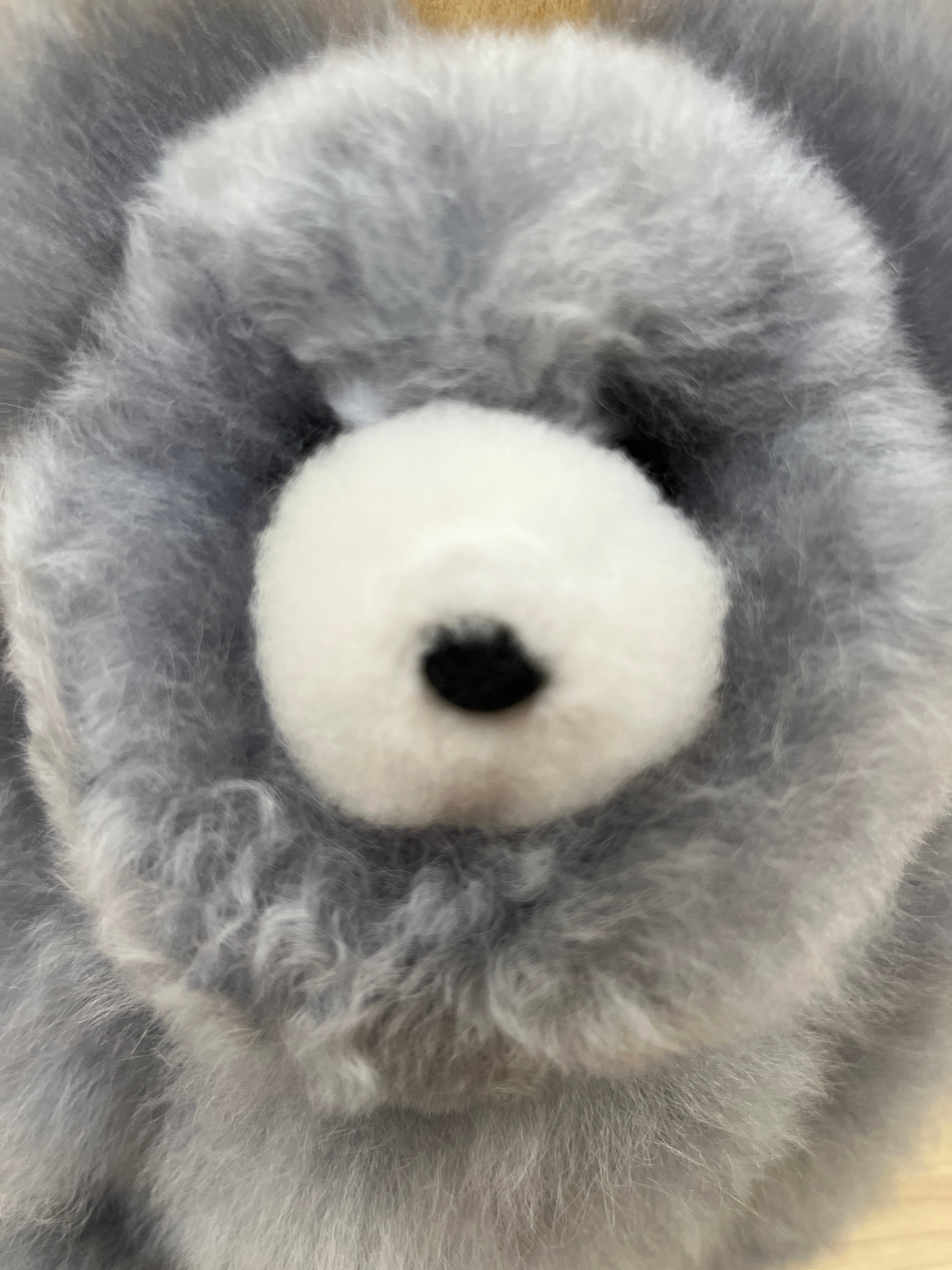 ベビーアルパカ純毛テディベア 中 グレー612 | ALPACA WORLD