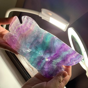 一点物☆希少！激レア！アロワナ・多彩なグラデーション♪レインボーフローライト置物