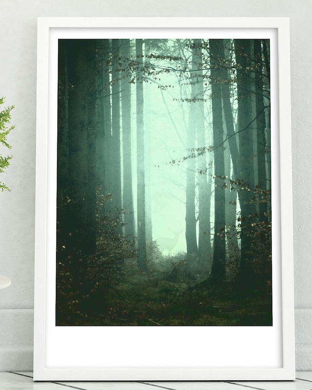 アートポスター /  Misty forest  eb117
