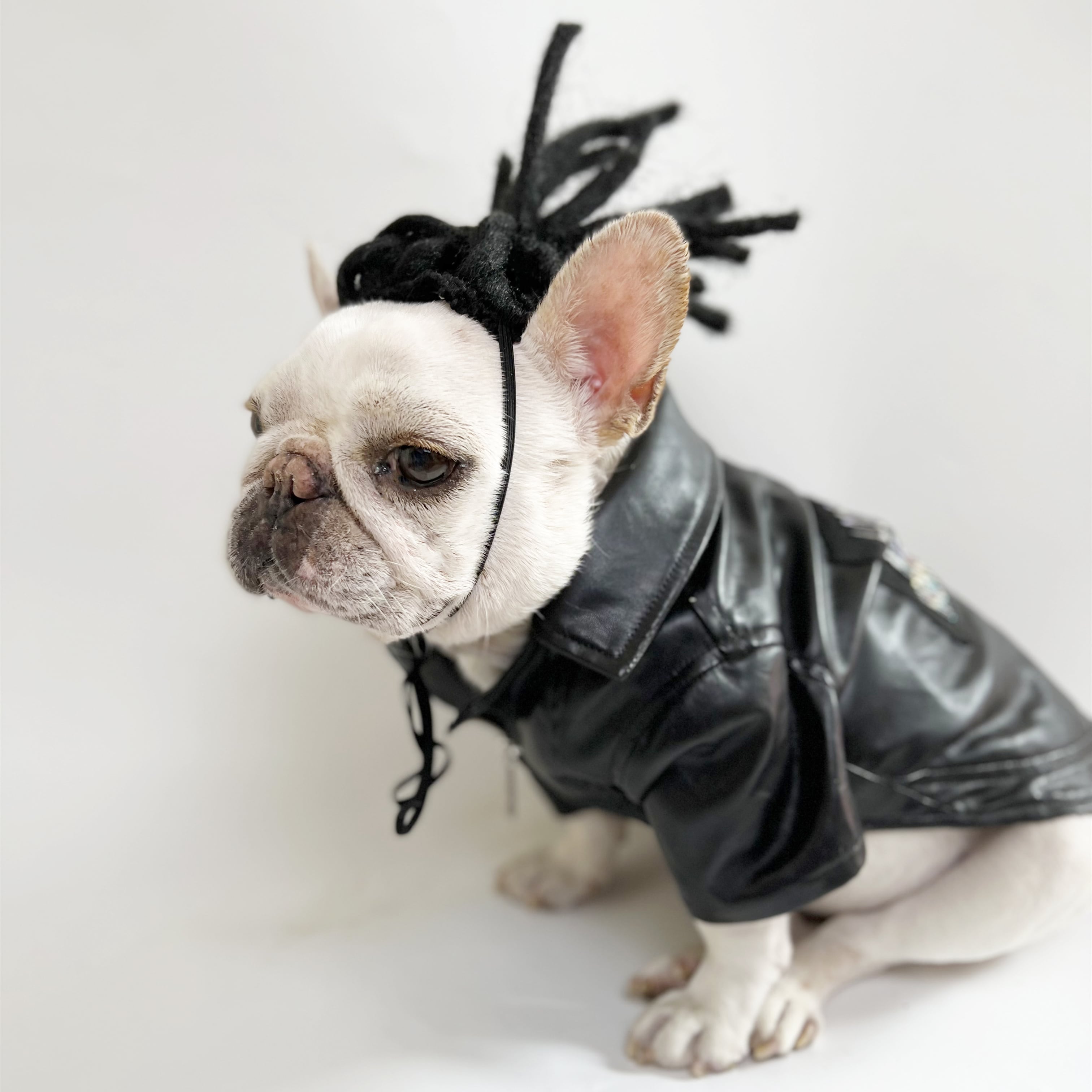 【珍品】矢立 兜 犬 KM578G-Fドレッドヘア カツラ ペット用 | DearKM ❤︎フレンチ