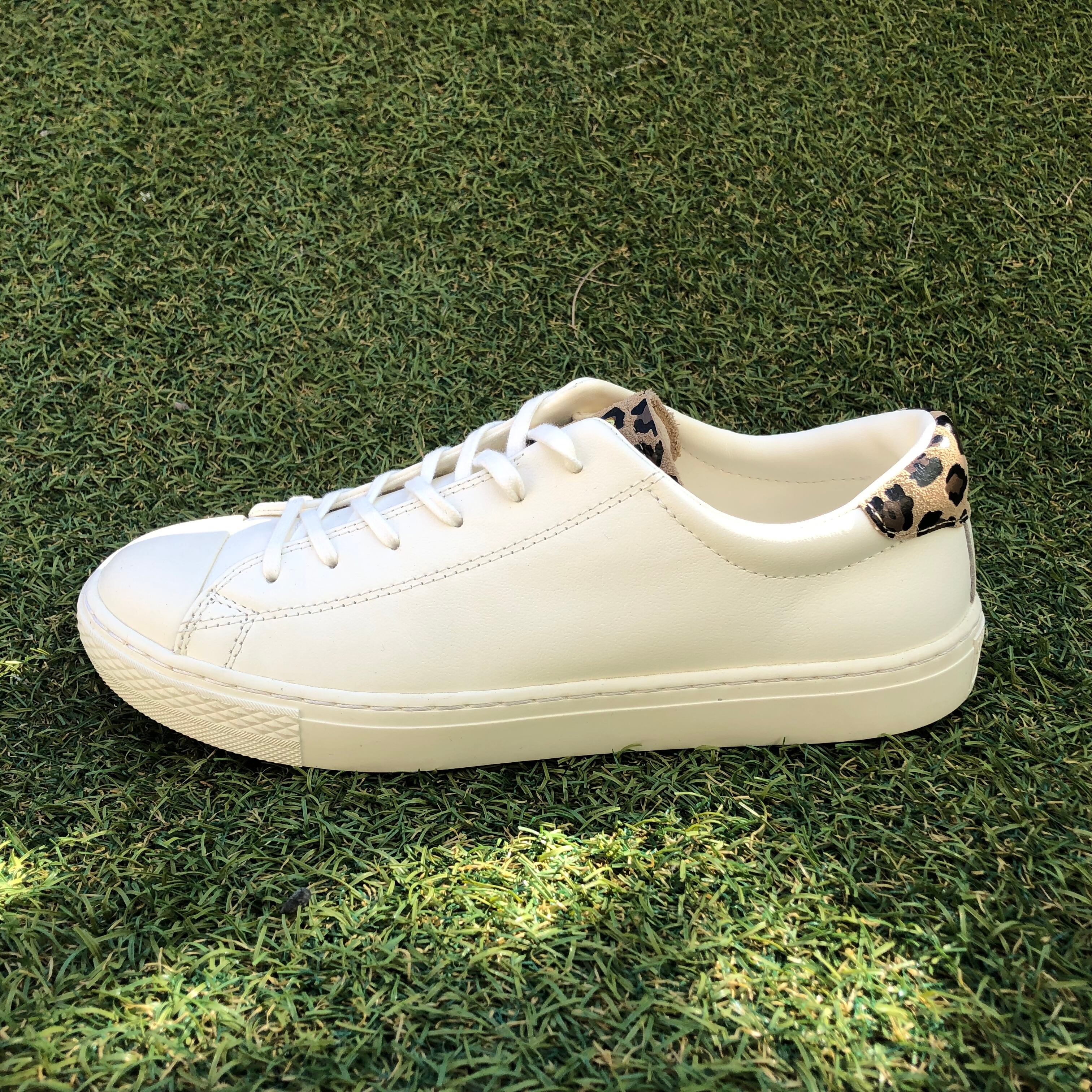 converse ALL STAR COUPE POINT ANIMAL OX コンバース オールスター ポイントアニマルクップ HB60