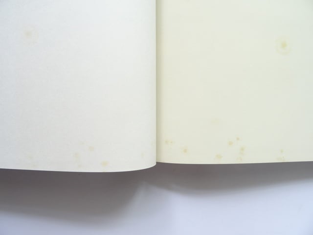 洋書◇世界の優れた自動車デザイン写真集 本 フェラーリ | 洋書堂