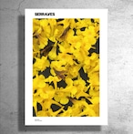 現代美術家『アローラ&カルサディーラ』ポルトガル現代美術館制作ポスター