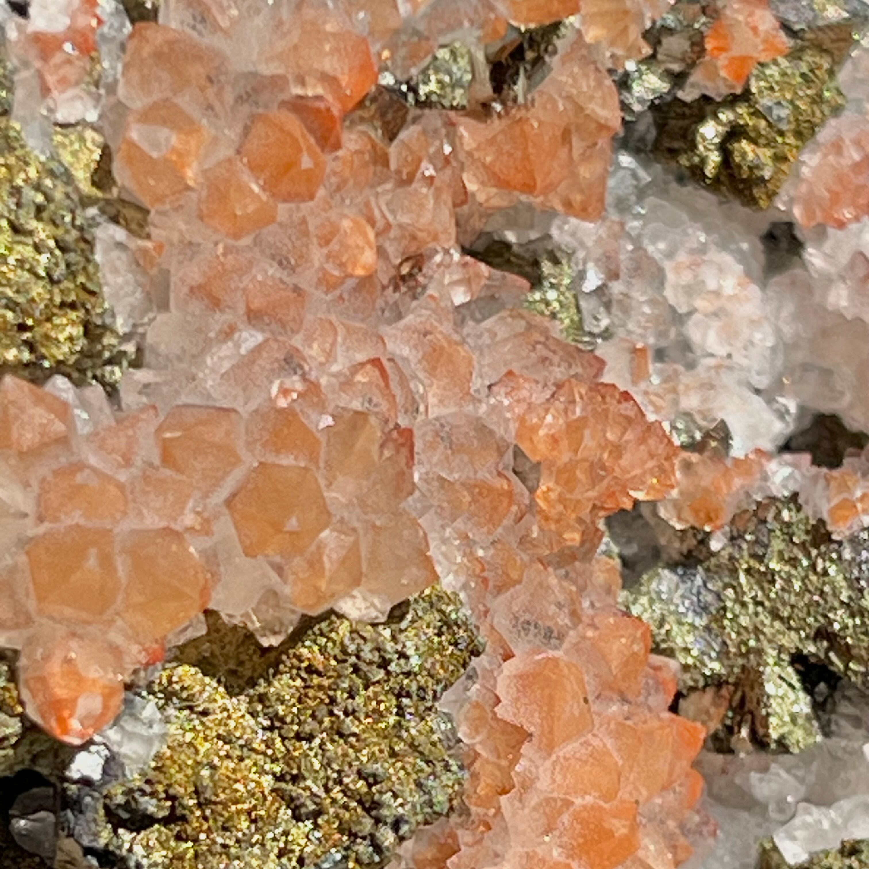 豊穣 ⁂ 黄銅鉱・パイライト共生水晶クラスター | partenaire