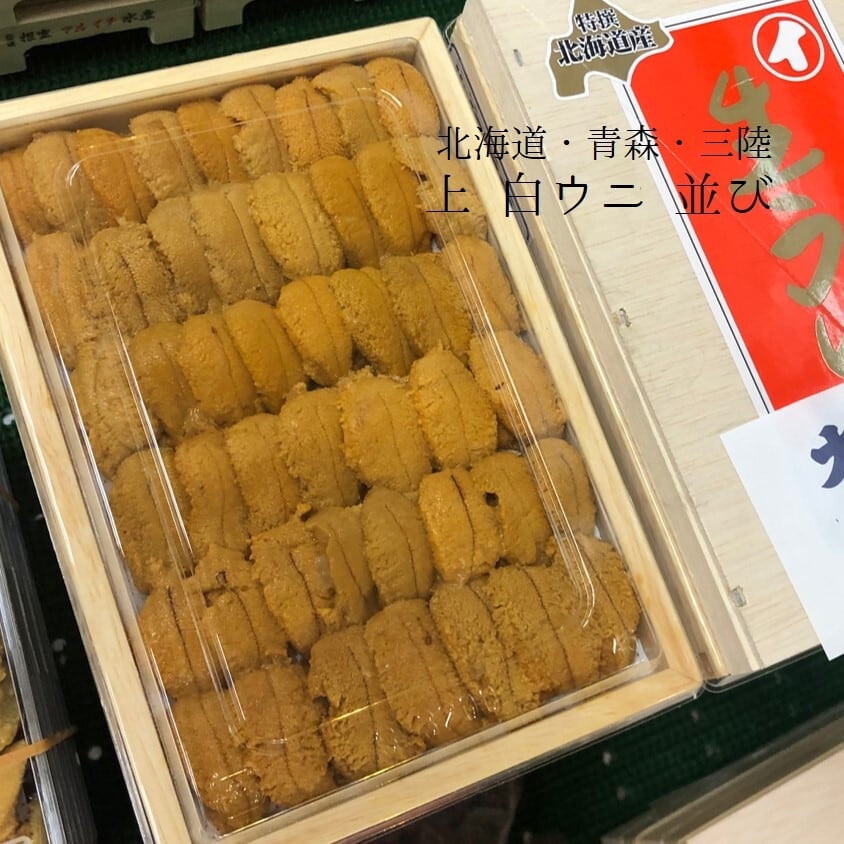 上ウニ 並び 北海道・青森・三陸・沿海州産 ムラサキウニ 白ウニ 約200