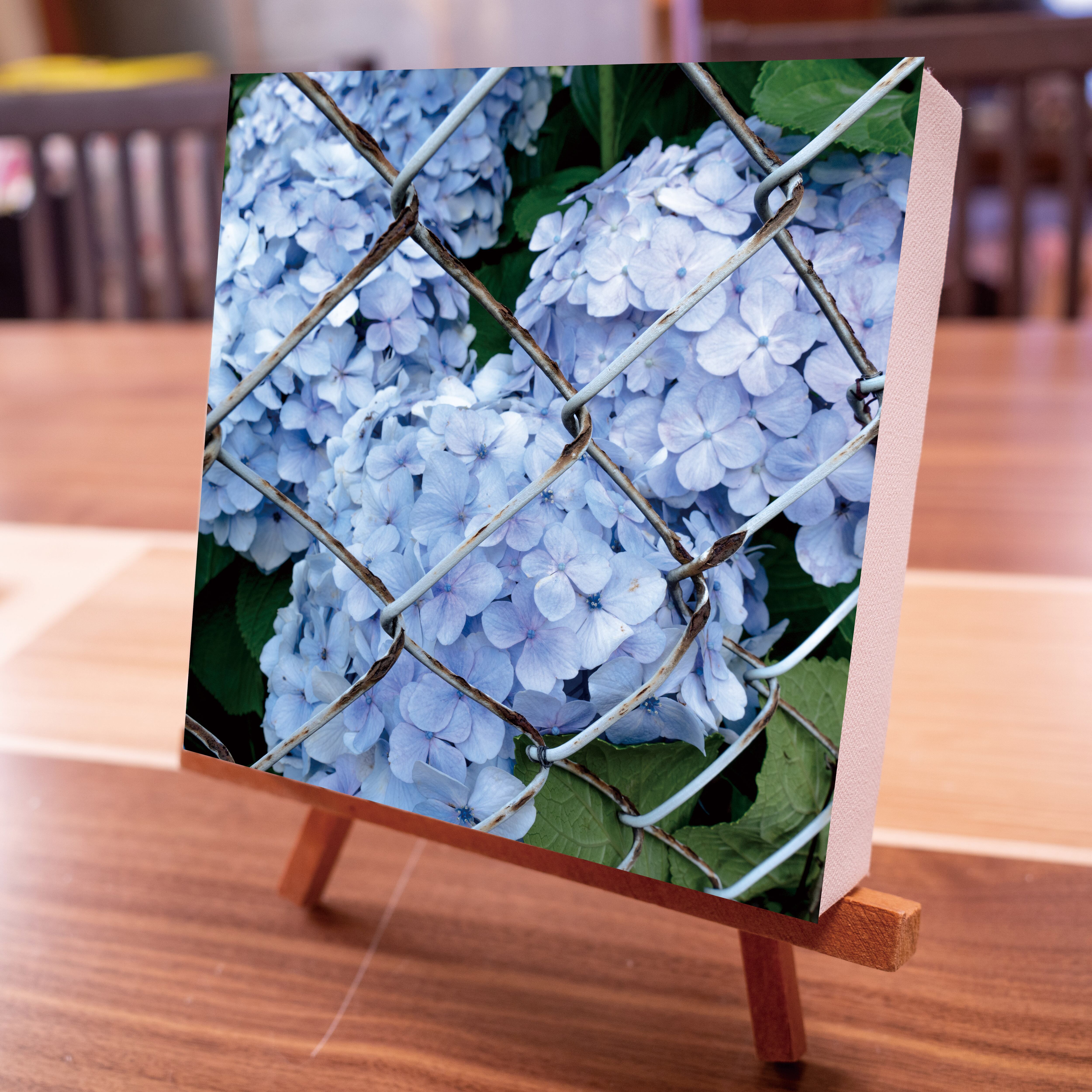 網と紫陽花 北欧発祥の正方形キャンバスプリント・ファブリックパネル