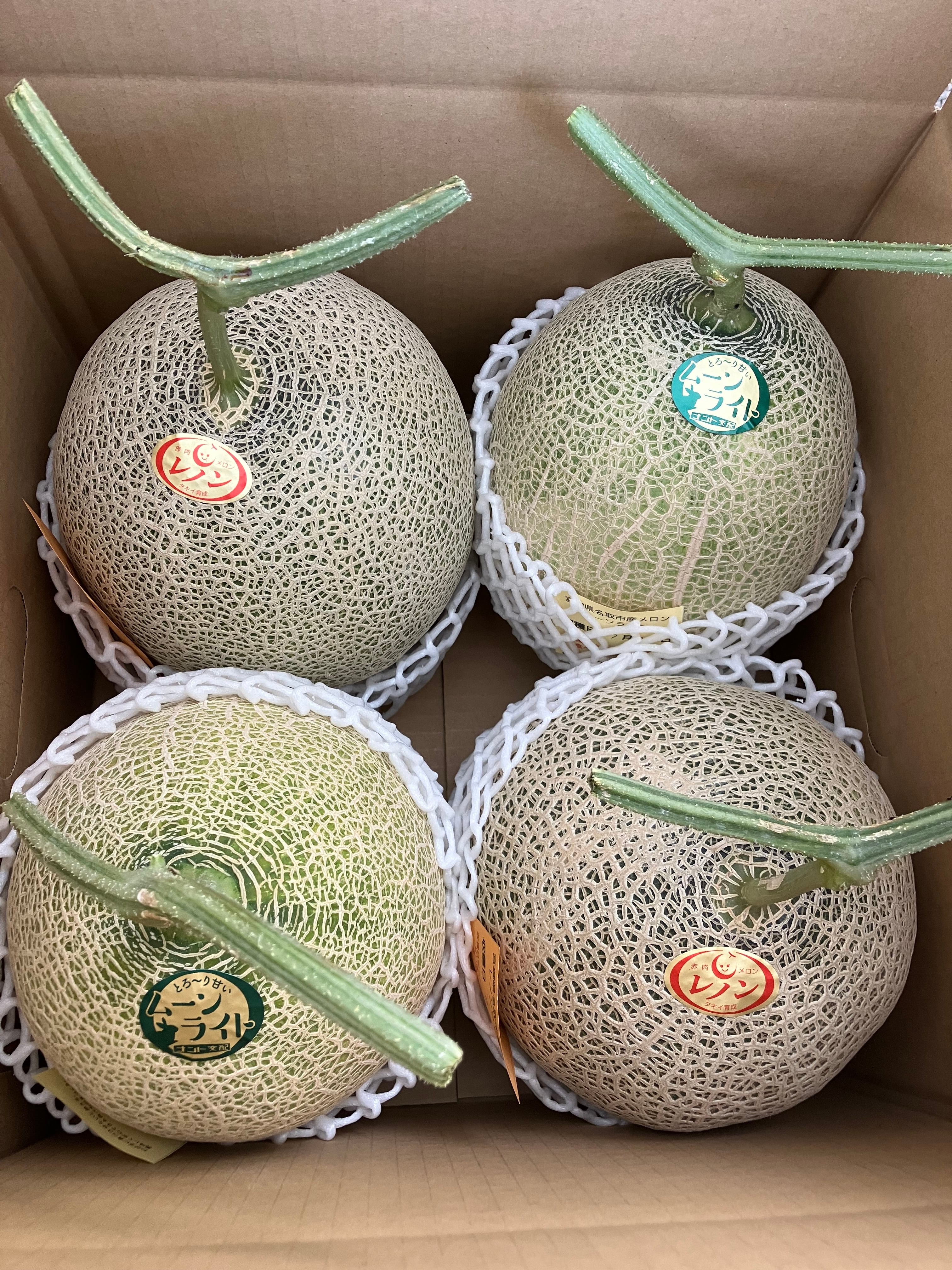 自宅用】宮城県名取市産メロン 2玉（1玉2.4kg以上） 赤肉青肉