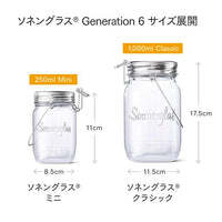 クリスマスギフト】sonnenglas mini アンティークローズ＆ミモザ2