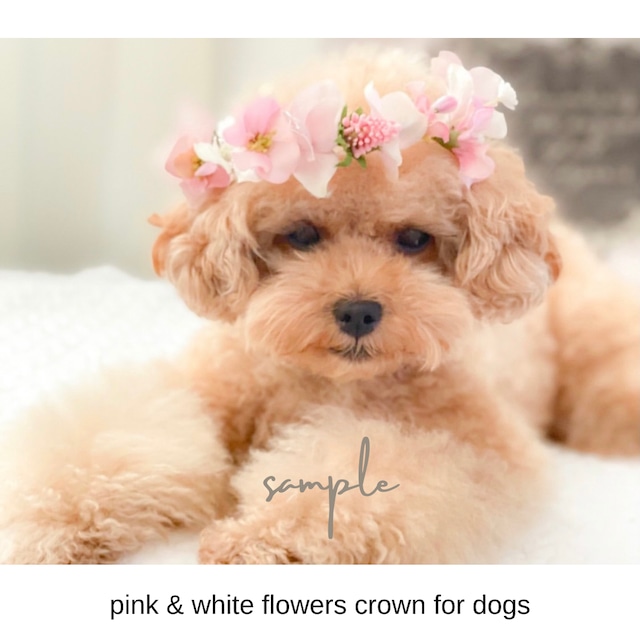受注制作〝犬用お花冠〟淡いピンク（白色）のお花で作るお任せ花冠・チョーカー（バレッタ付）