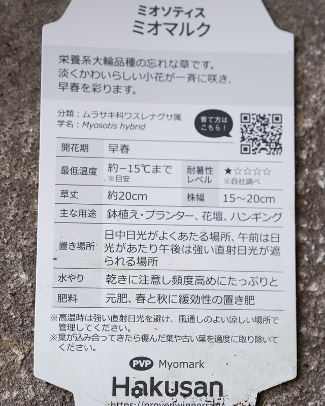 ワスレナグサ　ミオマルク　3.5号