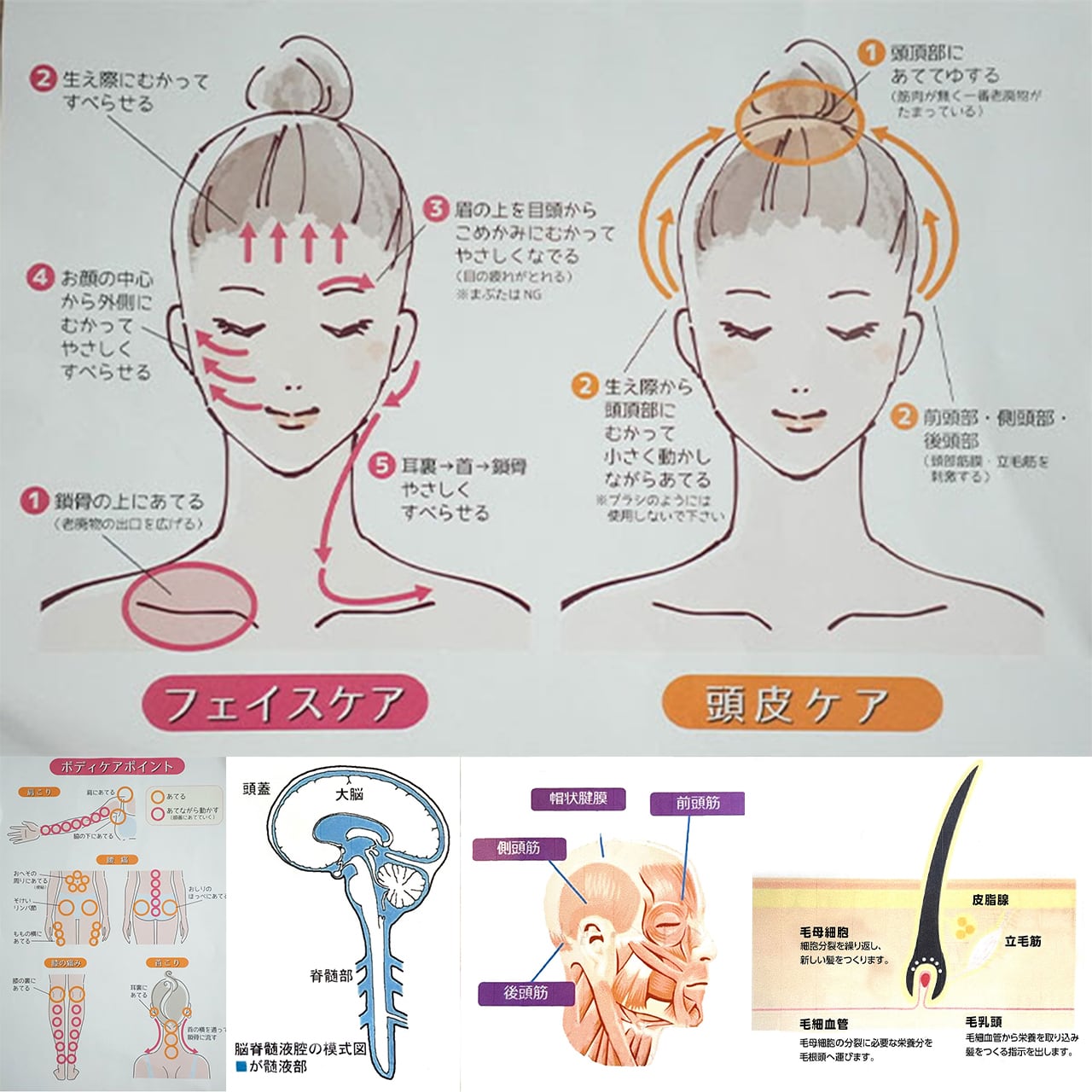 グラントパルスビューテイー　#頭筋膜リリース　