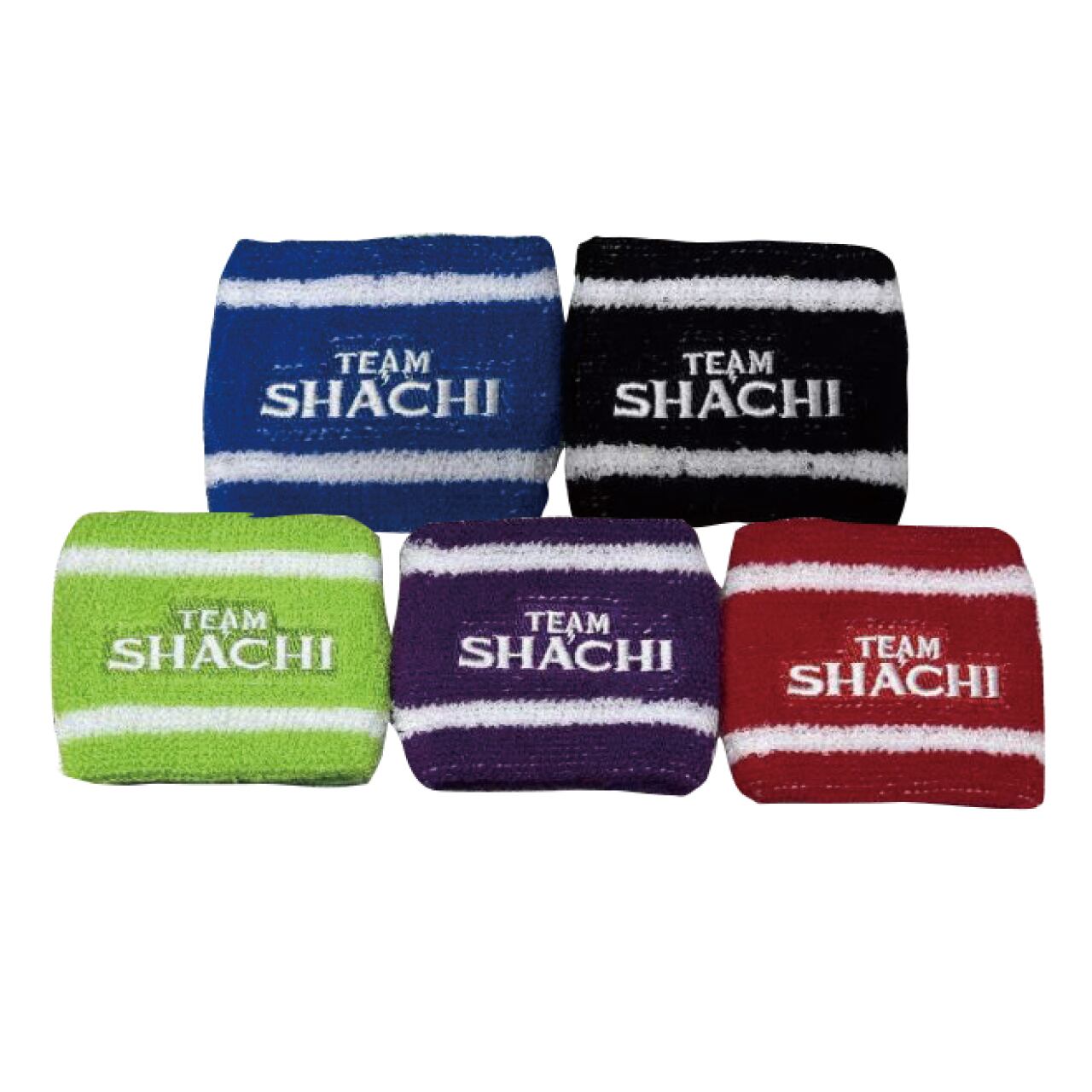 坂本遥奈 2024生誕生写真 | TEAM SHACHI SHOP