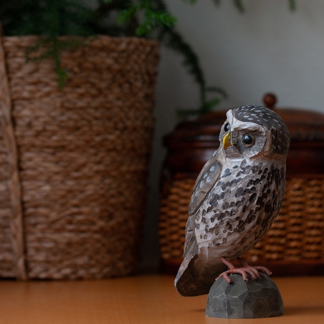 DECO BIRD（Little Owl）フクロウ