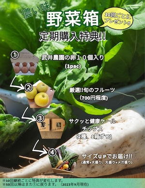 【リニューアル!】野菜計画の"濃い味"野菜箱（＊月１回配送）