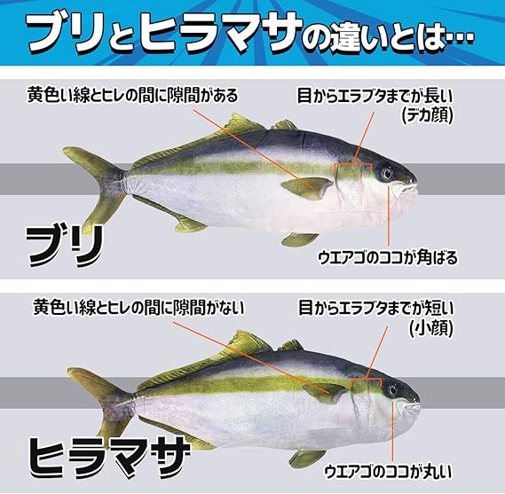 超リアル 実物大 ブリ ヒラマサ リバーシブル BIG ぬいぐるみ