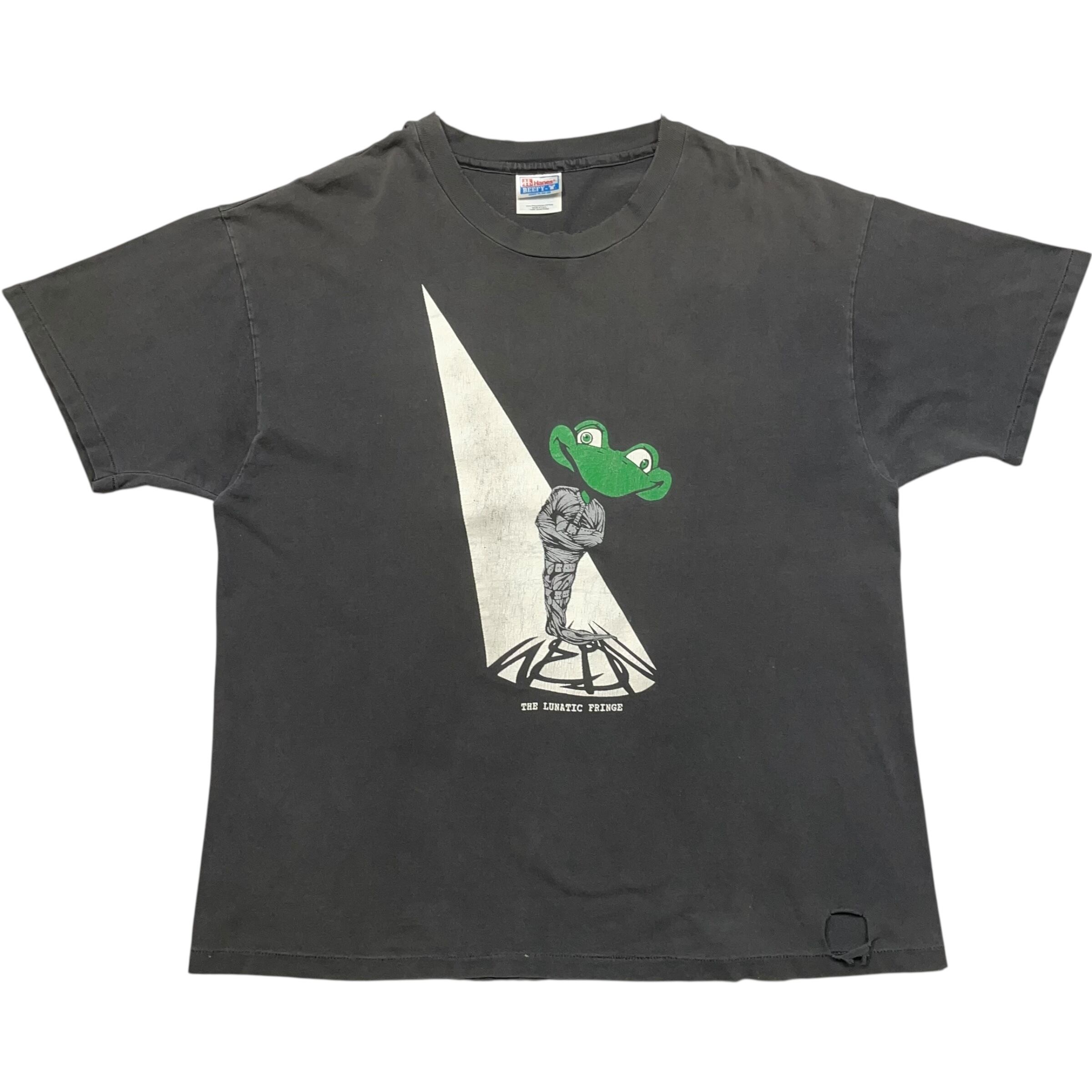 《XL》Hanes ヘインズ Tシャツ カエル スポットライト フロントプリント シングルステッチ USA製 90年代 vintage no.8734