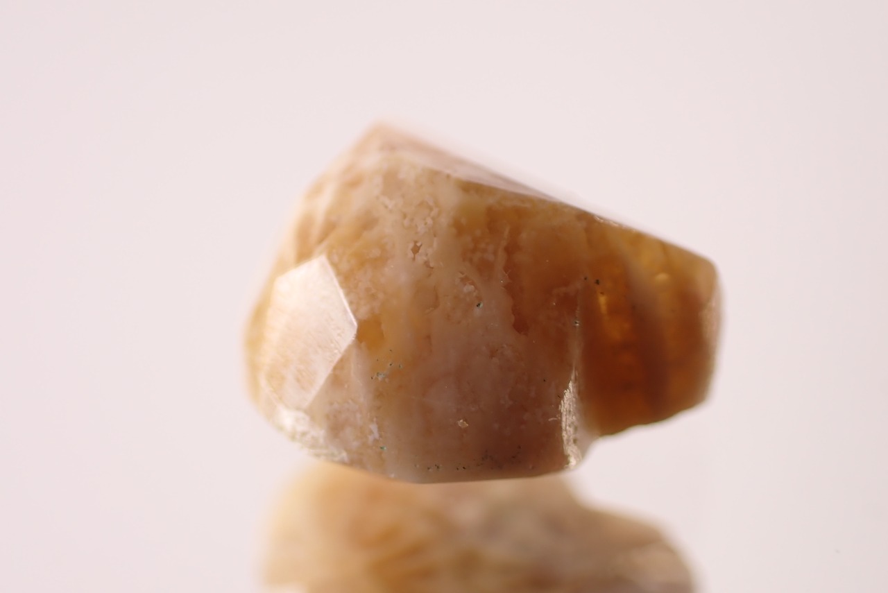 フォッシルコーラル(猫カット)　1.56ct　[D11‐571]