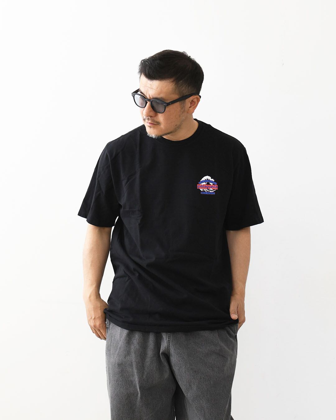 Patagonia [パタゴニア正規代理店] M's Great Waves Responsibili-Tee