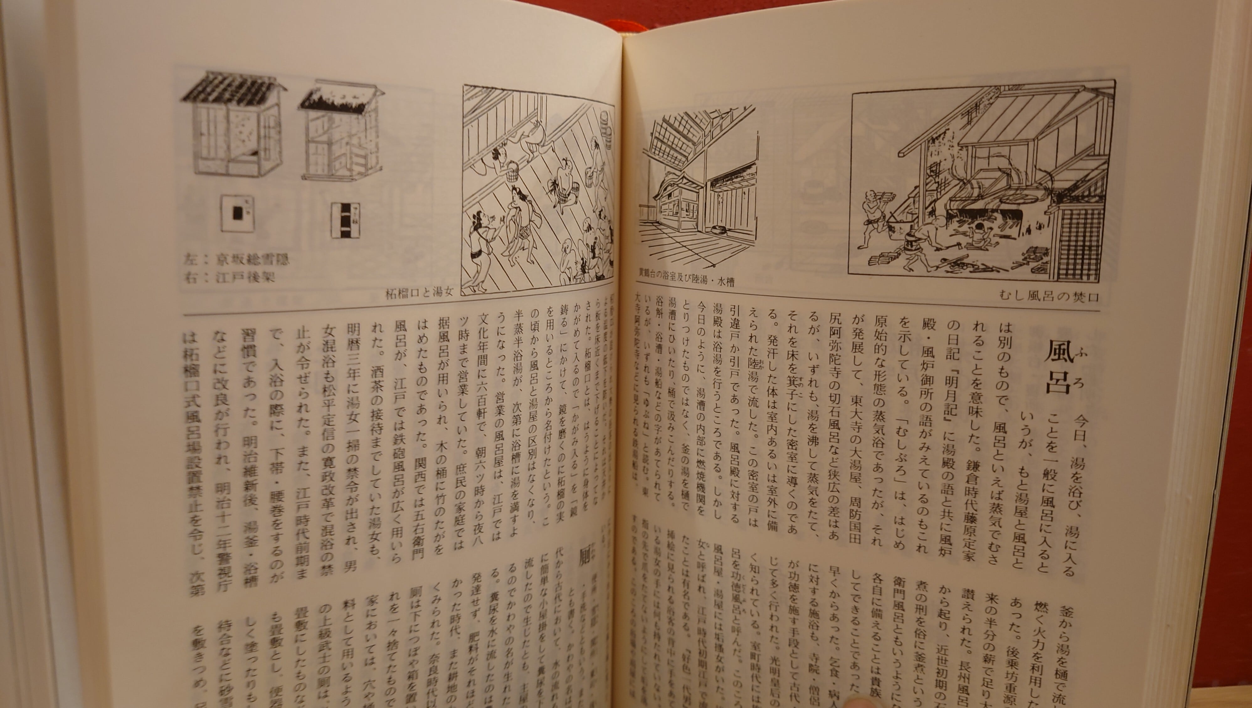 読み書きに強くなる 漢字のすべて | ⁄ 弥生坂 緑の本棚 中古 富士