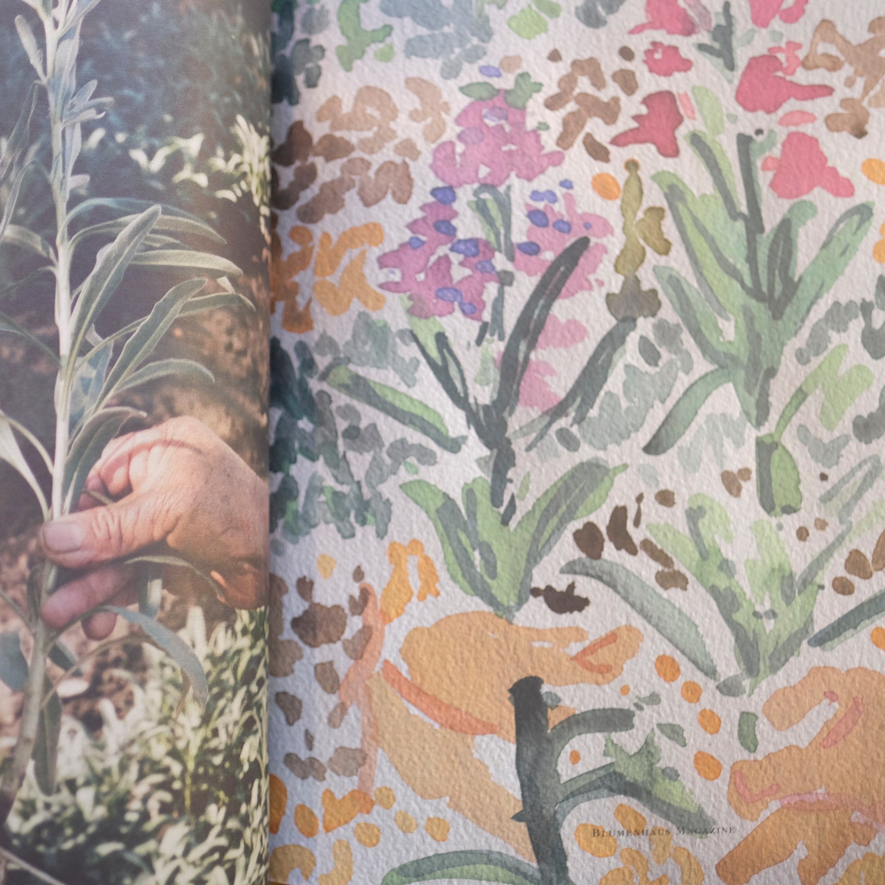 Blumenhaus / Blumenhaus magazine Issue3 | アトリエみちくさ