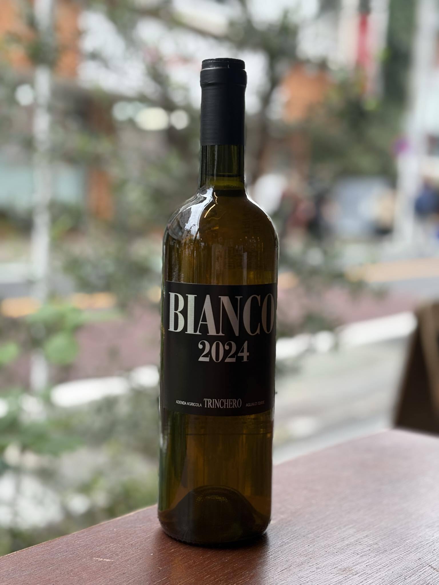 2024 BIANCO / TRINCHERO 【イタリア・ピエモンテ】