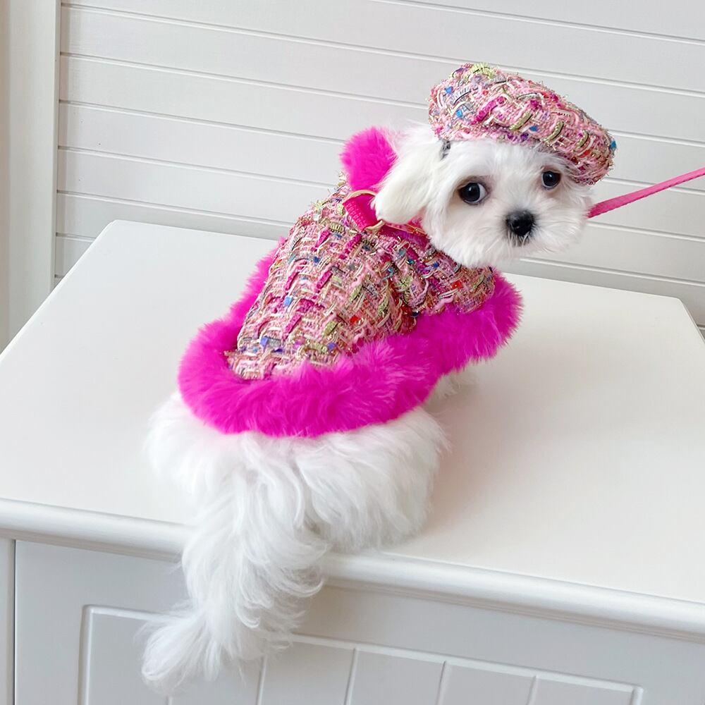 楽天市場】ブルブブ BUL BU-BU 中綿軽量アウター (SSS/SS/SSL/S)【犬服