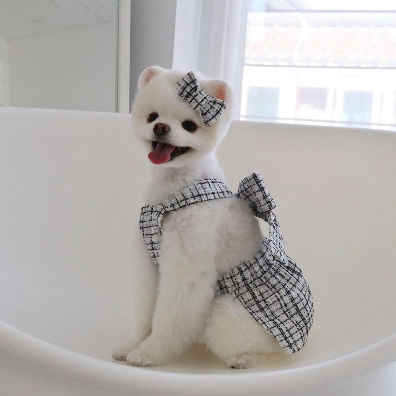 春夏 秋冬 XS~XL 2色】ツイード ワンピース リボン セット /犬服 犬の