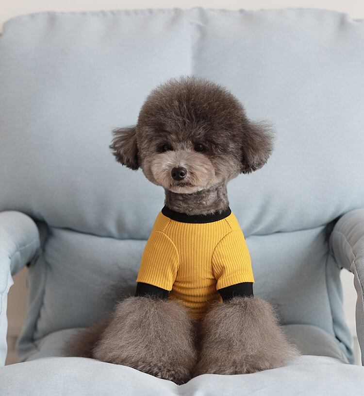 Onz Ribbon Knit T-shirt S ~ XL 4color / 犬服 新作 ニット 可愛い 犬の服 Tシャツ リボン トップス お揃い ドッグウェア b54