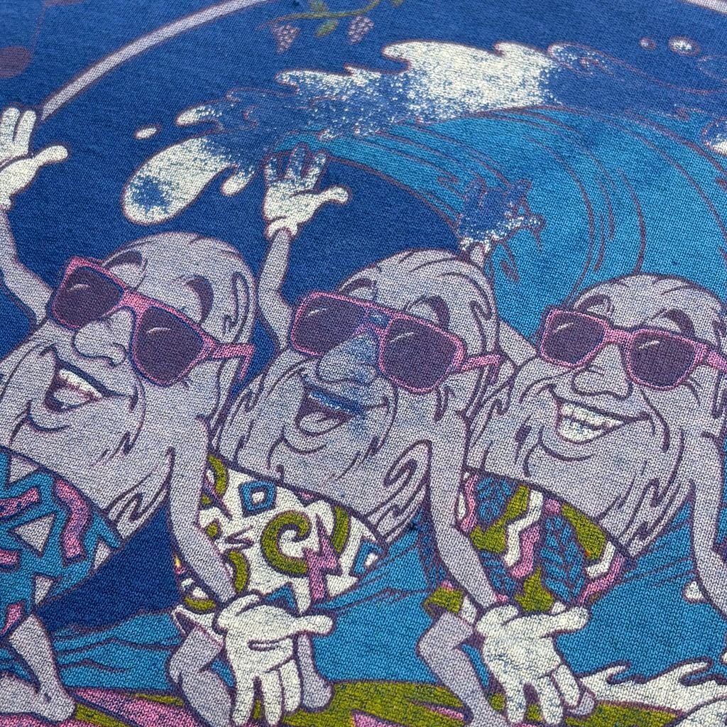 90s カリフォルニアレーズン サーフ Tシャツ XL 青 シングルステッチ I