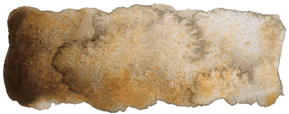 ※ララランド※　　　　　　　　　　　　　【激レア 美品】シュプリーム シュミンケ ホラダム スーパーグラニュレーティングカラー デザート