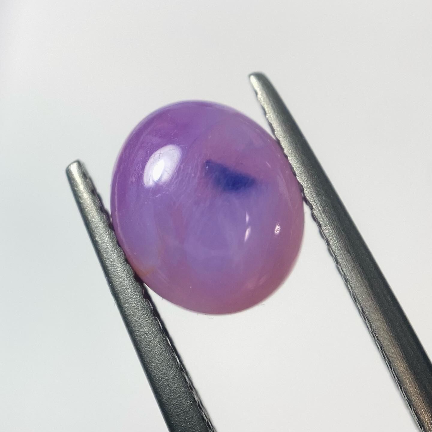 青い鳥たたずむサファイア