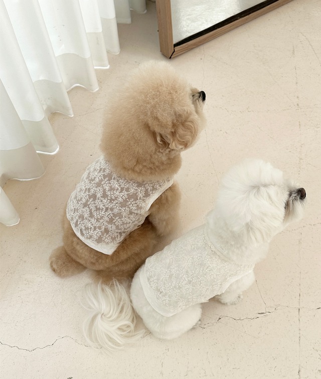 〈即納アイテム〉EYOU / レースベスト