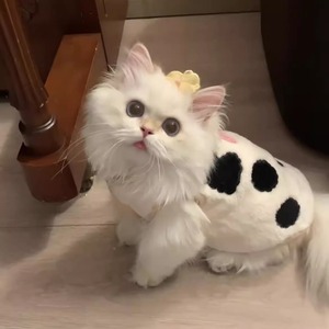 もこもこ子牛柄・アニマルベスト[sam027]