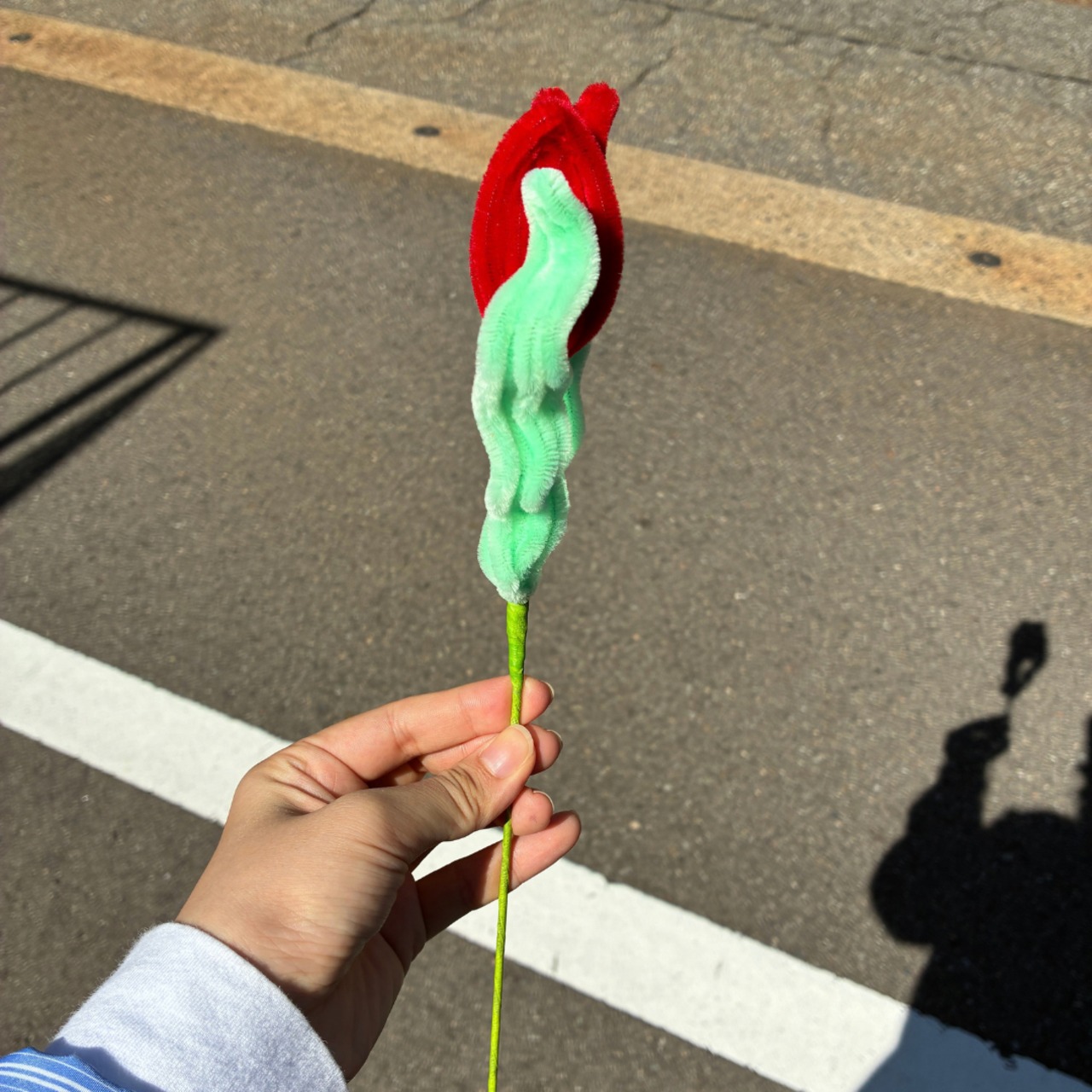 【アウトレット】チューリップ ＜試作品＞ - 2