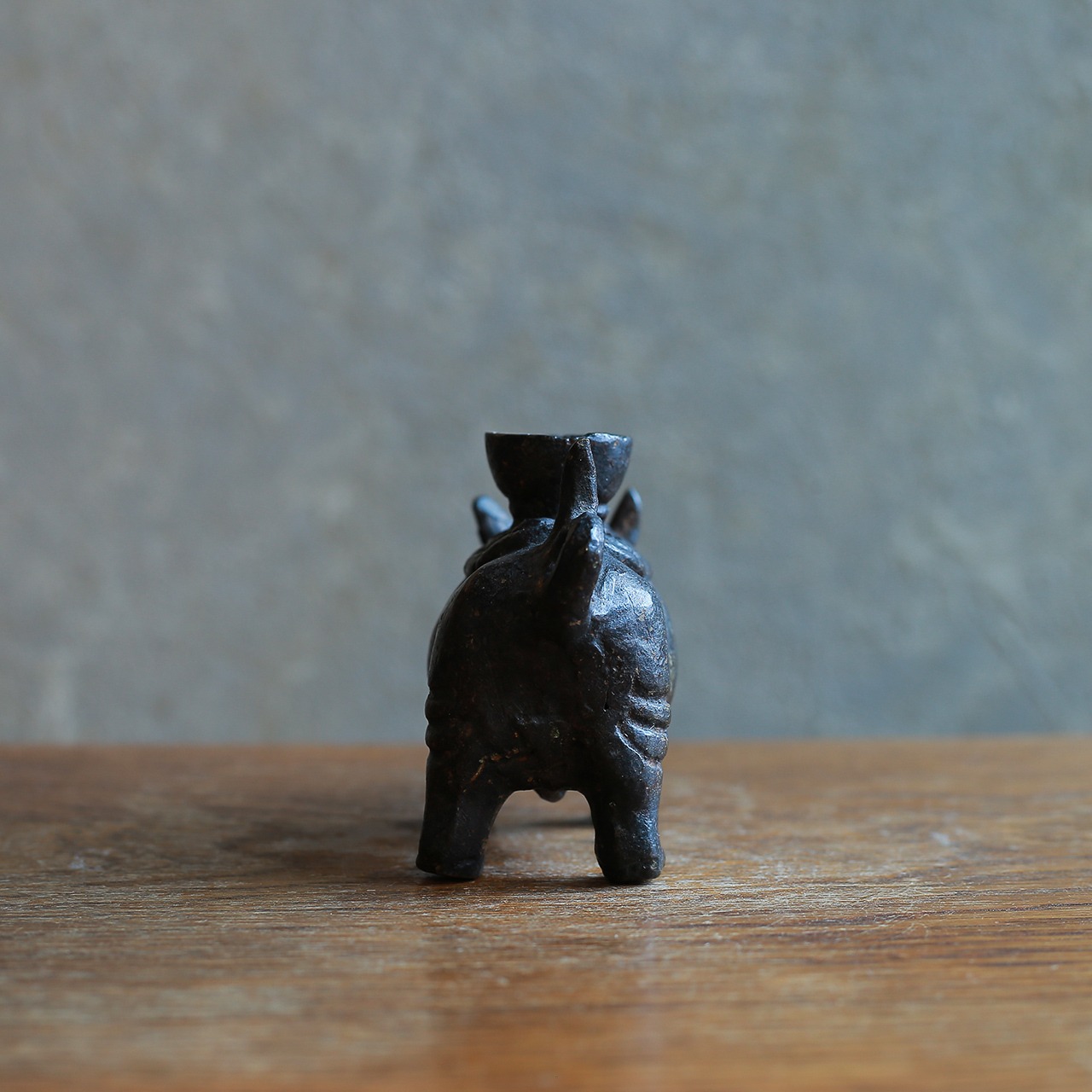 背中にキャンドルを乗せる、ずっしりとしたサイ 1