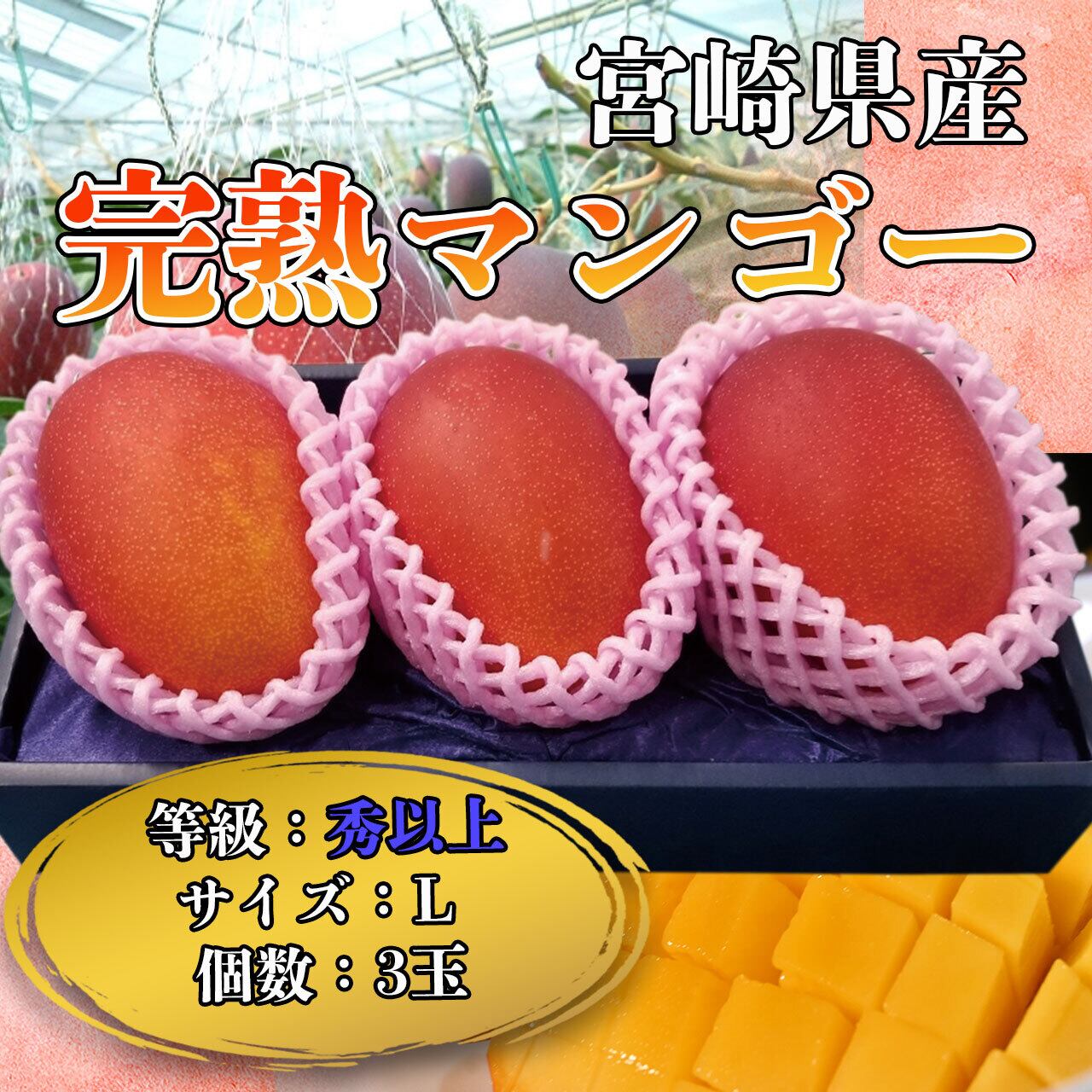 贈り物に】大田市場特選 宮崎産完熟マンゴー L 3玉 化粧箱入 ギフト