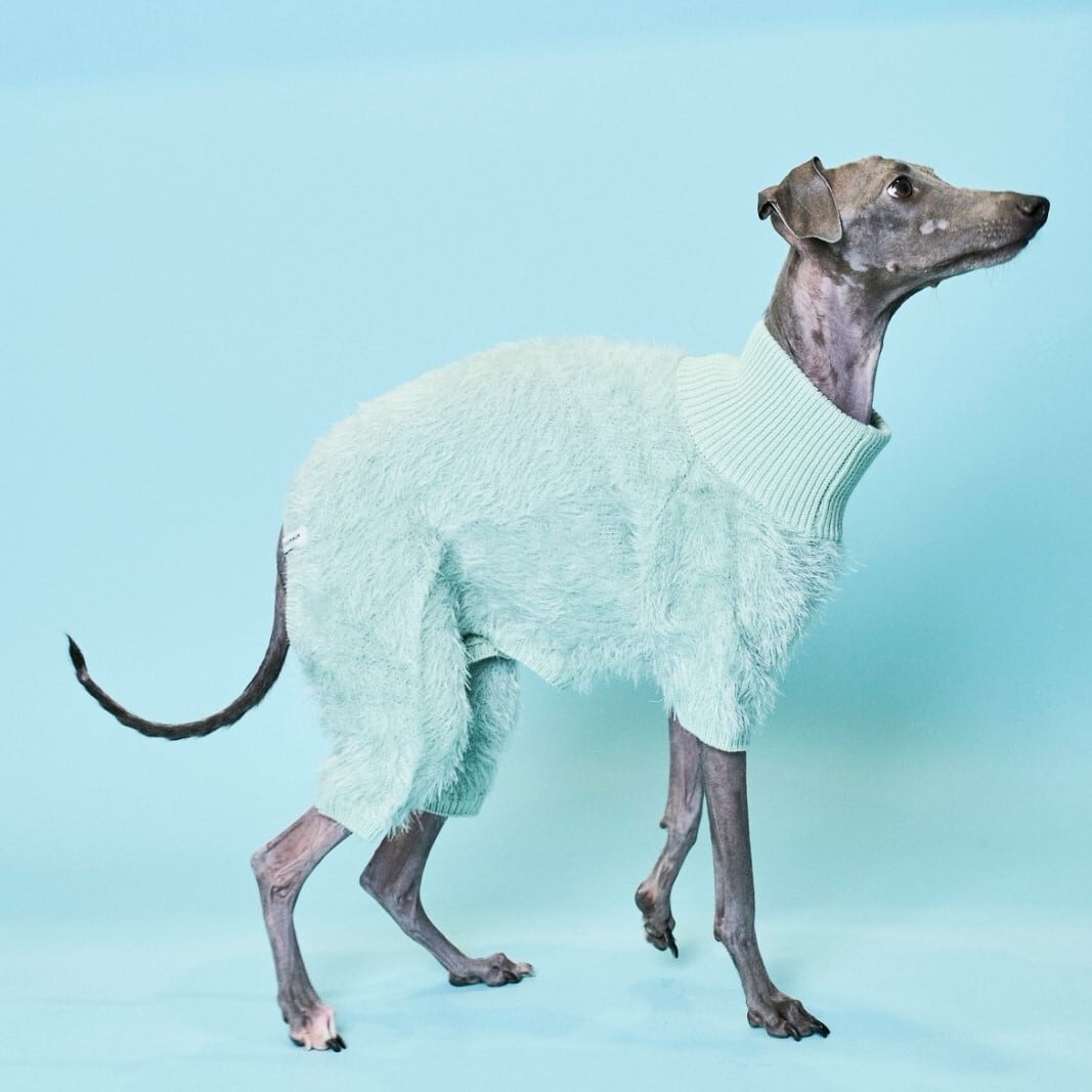 FEATHER YARN ROMPERS-SAX